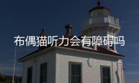 布偶貓聽力會有障礙嗎