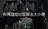 布偶貓嘔吐反復去大小便怎么回事(布偶貓嘔吐反復去大小便怎么辦)