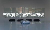 布偶貓會跳窗戶嗎(布偶貓從三樓跳下去)