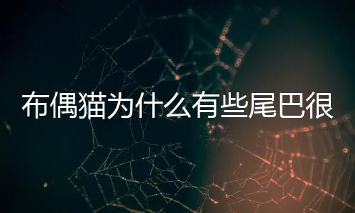 布偶貓為什么有些尾巴很油膩？布偶貓為什么有些尾巴很油乎乎的