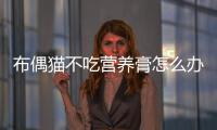 布偶貓不吃營養膏怎么辦？貓咪不吃營養膏怎么喂