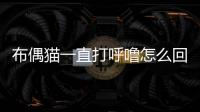 布偶貓一直打呼嚕怎么回事(布偶貓打呼嚕聲音特別大)