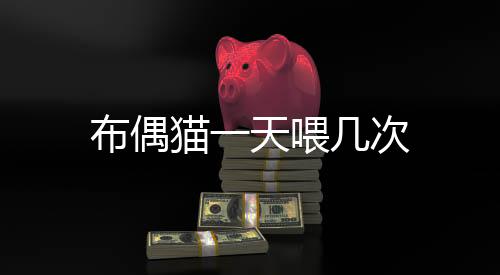 布偶貓一天喂幾次