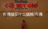 布偶貓買什么貓糧(布偶貓買什么貓糧好)