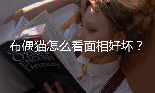 布偶貓怎么看面相好壞？布偶貓怎么看面相圖解