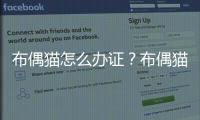布偶貓怎么辦證？布偶貓需要準備什么