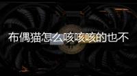 布偶貓怎么咳咳咳的也不吐呢？布偶貓一直咳嗽怎么辦