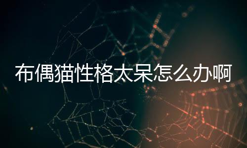 布偶貓性格太呆怎么辦啊？布偶貓性格很差