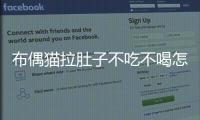 布偶貓拉肚子不吃不喝怎么辦(布偶貓拉肚子怎么辦)