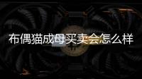 布偶貓成母買賣會怎么樣？買母布偶貓母的繁殖能賣出去嗎