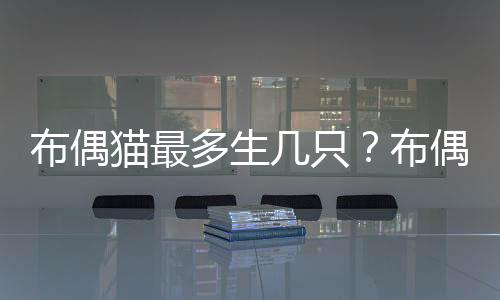 布偶貓最多生幾只？布偶貓最多生幾胎