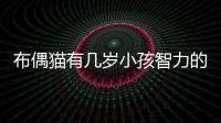 布偶貓有幾歲小孩智力的？布偶貓能長到幾歲