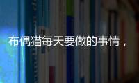 布偶貓每天要做的事情，布偶貓每天需要陪多久