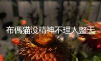 布偶貓沒精神不理人整天睡覺(布偶貓沒精神一直趴著)