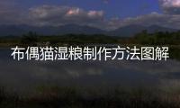 布偶貓濕糧制作方法圖解(布偶貓糧怎么做)