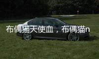布偶貓?zhí)焓寡?，布偶貓n血是誰家