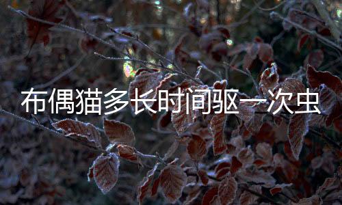 布偶貓多長時間驅一次蟲(布偶貓多長時間成年)