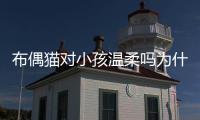 布偶貓對小孩溫柔嗎為什么？布偶貓對小孩友善嗎