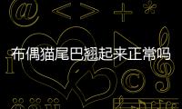 布偶貓尾巴翹起來正常嗎圖片？布偶貓尾巴短怎么回事
