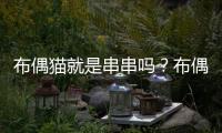 布偶貓就是串串嗎？布偶是串串嗎
