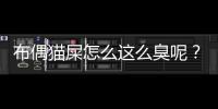 布偶貓屎怎么這么臭呢？布偶的屎很臭