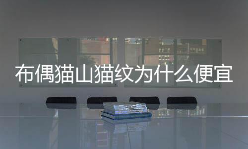 布偶貓山貓紋為什么便宜？布偶貓山貓紋貴嗎