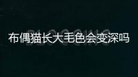 布偶貓長大毛色會變深嗎(布偶貓長大毛色會變嗎)