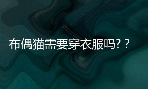 布偶貓需要穿衣服嗎?？布偶貓需要穿衣服嗎冬天