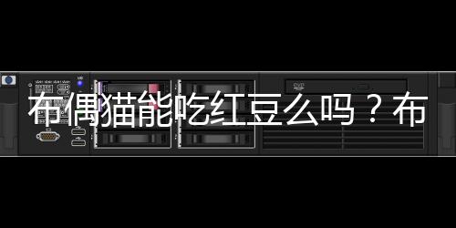 布偶貓能吃紅豆么嗎？布偶可以吃紅薯嗎