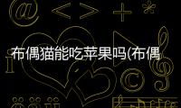 布偶貓能吃蘋果嗎(布偶貓可以吃蘋果泥嗎)