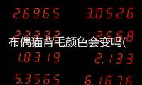 布偶貓背毛顏色會變嗎(布偶貓毛為什么顏色變深)
