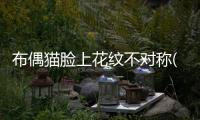 布偶貓臉上花紋不對(duì)稱(布偶貓面具不對(duì)稱)