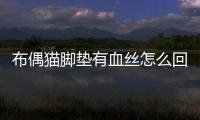 布偶貓腳墊有血絲怎么回事？布偶貓腳墊上突然出現黑塊