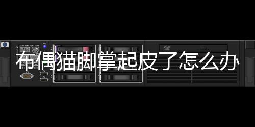 布偶貓腳掌起皮了怎么辦？布偶貓腳掌起皮了怎么回事