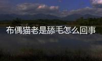布偶貓老是舔毛怎么回事(布偶貓沒有圍脖)