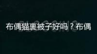 布偶貓裹被子好嗎？布偶需要蓋被子嗎