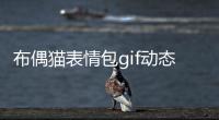 布偶貓表情包gif動態圖大全(布偶 表情包)