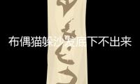 布偶貓躲沙發底下不出來