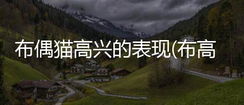 布偶貓高興的表現(布高興的日常布偶貓)