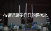 布偶貓鼻子紅紅的是怎么回事？布偶貓鼻子紅紅的怎么辦
