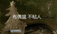 布偶貓 不粘人