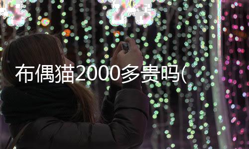 布偶貓2000多貴嗎(布偶貓2000元好嗎)