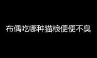 布偶吃哪種貓糧便便不臭呢？布偶吃哪種貓糧不軟便
