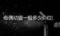 布偶幼貓一般多少價位(布偶幼貓拉稀但精神好)