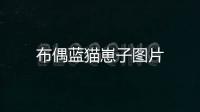 布偶藍貓崽子圖片