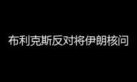 布利克斯反對將伊朗核問題提交安理會