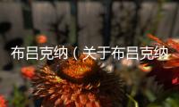 布呂克納（關(guān)于布呂克納的基本情況說明介紹）