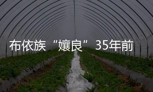 布依族“孃良”35年前被拐 志愿者破譯鄉音找到親人