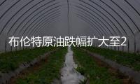 布倫特原油跌幅擴大至2%