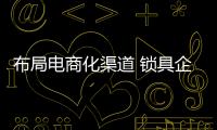 布局電商化渠道 鎖具企業需從四方面著手
